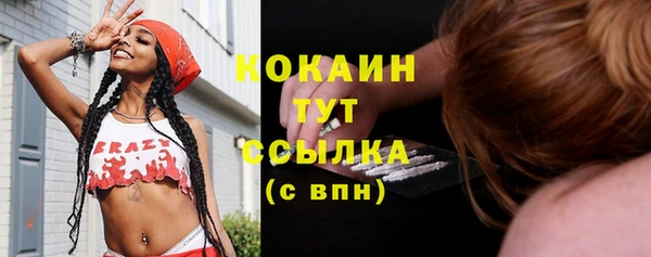 тгк Алзамай