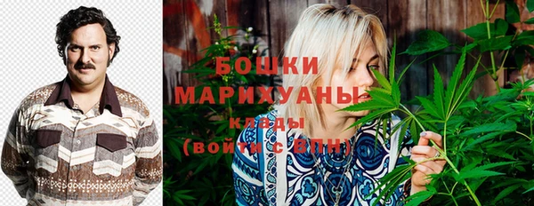apvp Аркадак