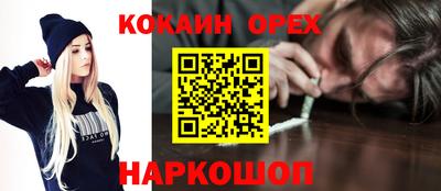 стаф Будённовск