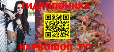 эйфоретик Бугуруслан