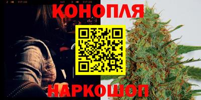 стаф Будённовск