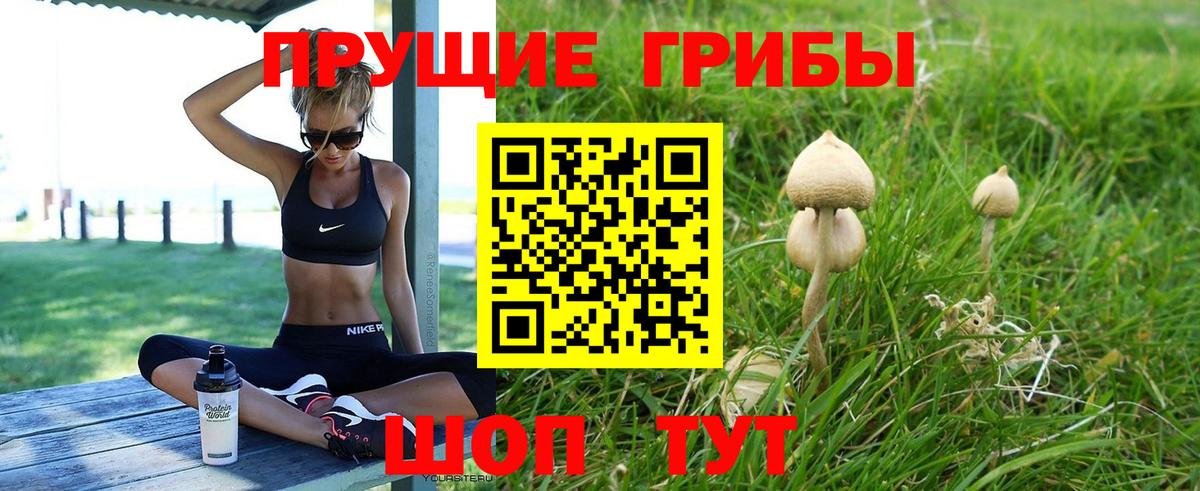купить закладку  Вход с VPN  Белорецк  Псилоцибиновые грибы Psilocybe 